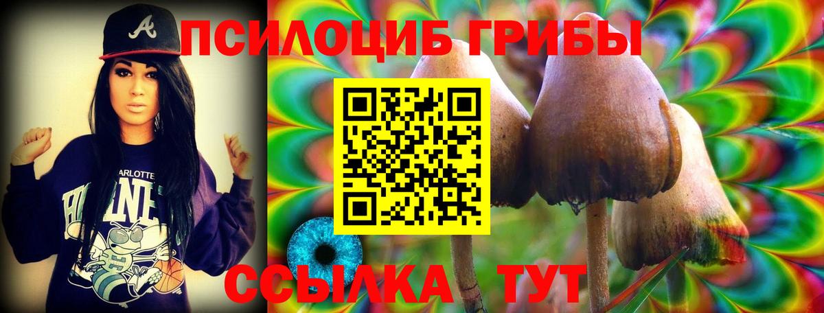 Псилоцибиновые грибы ЛСД Электрогорск