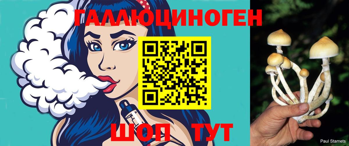 Электрогорск  Псилоцибиновые грибы Cubensis  Вход с VPN 